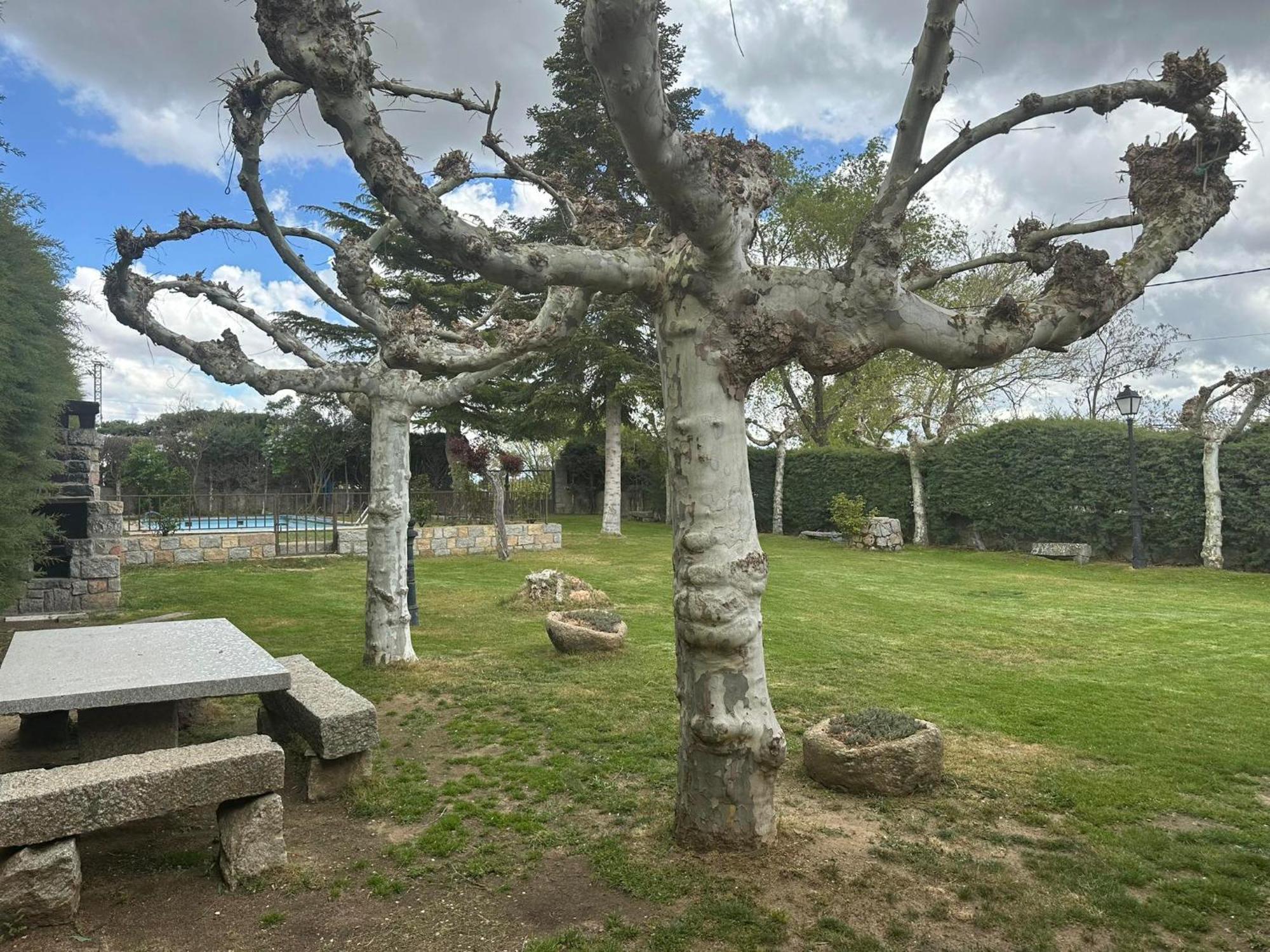 Casa Rural El Cordel La Serrada Εξωτερικό φωτογραφία